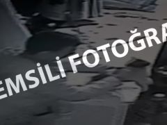 Kediyi boğarak öldüren cani yakalandı
