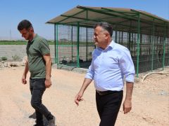 REYHANLI’DA SOKAK HAYVANLARI İÇİN MODERN VE ÖRNEK BİR PROJE HAYATA GEÇİRİLİYOR