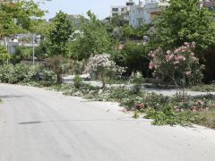 HBB’DEN REFÜJLERDE KAPSAMLI ÇALIŞMA
