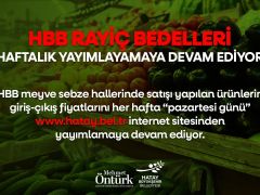 HBB RAYİÇ BEDELLERİ HAFTALIK YAYIMLAYAMAYA DEVAM EDİYOR