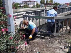 BÜYÜKŞEHİR TEMİZLİK ÇALIŞMALARINA DEVAM EDİYOR
