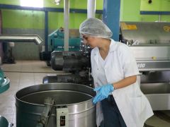 BÜYÜKŞEHİR ZEYTİN HASADI ÖNCESİNDE FABRİKALARI DENETLEDİ