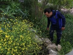 HATAY’DA SU İSRAFINA GEÇİT YOK 