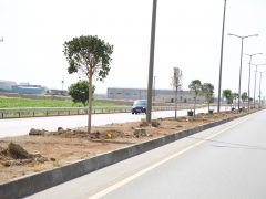 HBB, HATAY’I YEŞİLİN HER TONUYLA BULUŞTURUYOR