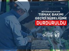 HBB, BÜYÜKBAŞ HAYVAN TIRNAK BAKIM HİZMETİNİ GEÇİCİ OLARAK DURDURDU