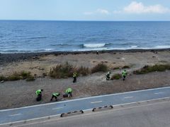 KUM ZAMBAKLARI VE YEŞİL DENİZ KAPLUMBAĞALARINA ÖZEL ÇALIŞMA