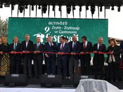 ALTINÖZÜ’NDE FESTİVAL COŞKUSU BAŞLADI