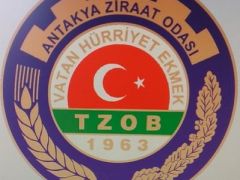Antakya Ziraat Odası: Üretimin Kalbi, Çiftçinin Güvencesi