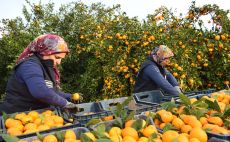 HBB’DEN ÜRETİCİYE VE TOPLUMA ÇİFTE DESTEK