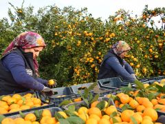 HBB’DEN ÜRETİCİYE VE TOPLUMA ÇİFTE DESTEK