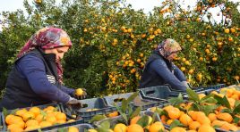 HBB’DEN ÜRETİCİYE VE TOPLUMA ÇİFTE DESTEK