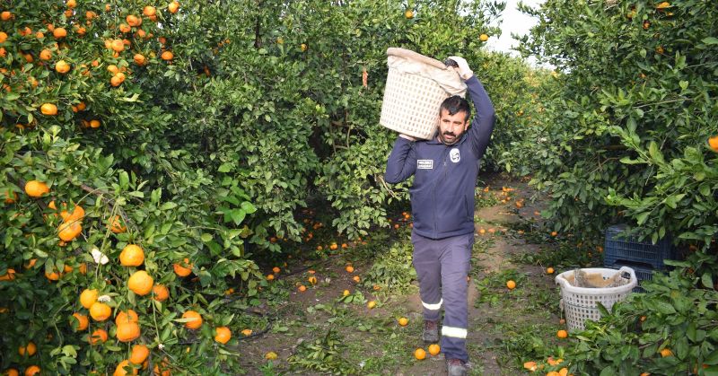 HBB’DEN ÜRETİCİYE VE TOPLUMA ÇİFTE DESTEK