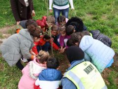 MİNİKLER, HBB İLE OKULLARINI AĞAÇLANDIRIYOR