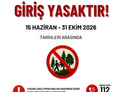 HATAY’DA KIRMIZI ALARM: ORMANLARA GİRİŞLER YASAKLANDI! 