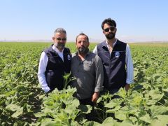HBB, ÜRETİCİYE AYÇİÇEĞİ TOHUMU DESTEĞİ SAĞLADI
