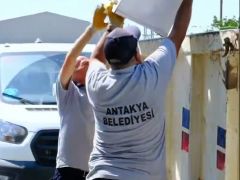 Antakya Belediyesi’nden Büyükdalyan Mahallesi’nde Kapsamlı Temizlik Çalışması