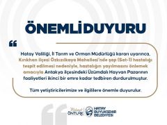 ÜZÜMDALI HAYVAN PAZARINA ŞAP TEDBİRİ 